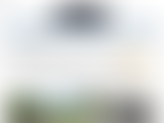 Over 12,000 page views for new website over the first year