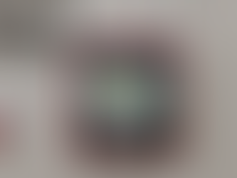 MS-9200UD Fire Alarm — Reliable FireLite System for Building Safety