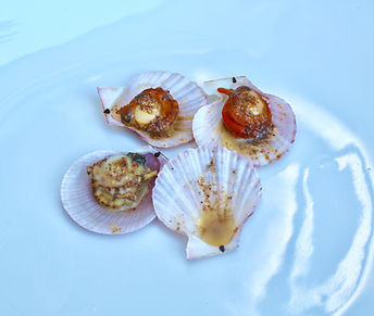 Steamed scallops placed on half the shell and drizzled with Garlic and chilli butter