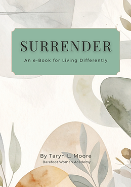 Surrender e-Book