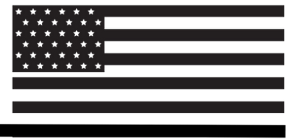 AMERICAN CUSTOM CATAMARANS logo