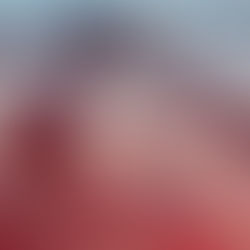 Faltam 15 dias para o maior evento de asas rotativas da América Latina.