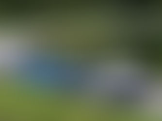 Mercedes-Benz SLR McLaren慶祝合作活動