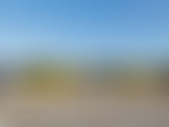 新福利啟用智慧型新能源巴士