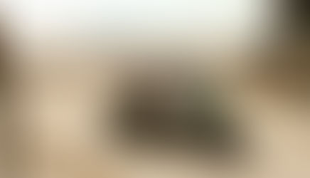 雪鐵龍 MY AMI BUGGY 新成員