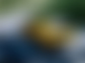 Toyota 在日本推出全新 Prius PHEV