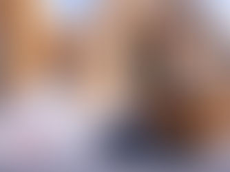 上汽奧迪 Q6 聖誕巿集