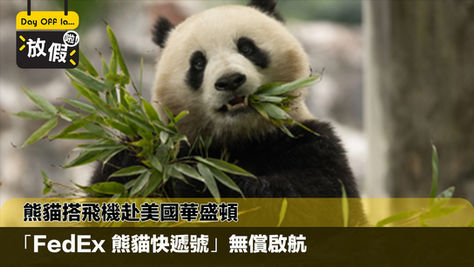 國寶乘搭「FedEx 熊貓快遞號」赴美國華盛頓