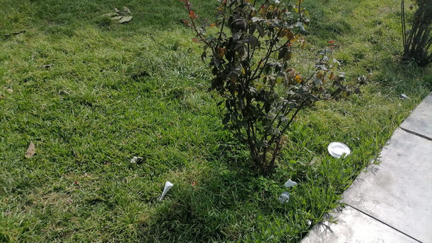 WhatsApp Image 2022-10-12 at 4.37_edited.jpg