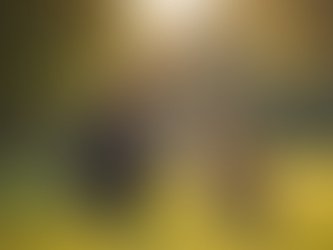 Comprehensive Pet Care Services for Your Pet