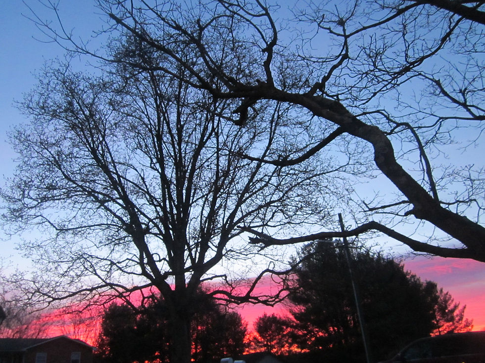 I Watched God Make a Morning