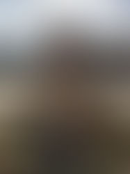 Black Bear Award - Izzy Jenne