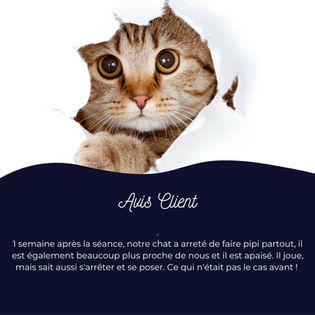 Avis Client (2).jpg