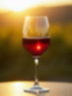 Rioja Wine Tours - Friday & Saturdays