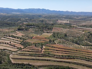 3 Vinos ecológicos del Priorat