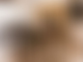 Comedor principal de Camins del Priorat