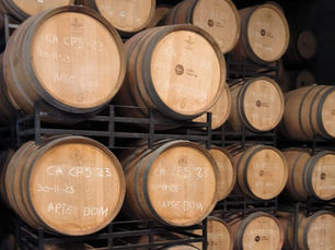 Descubrimos algunas de las bodegas del Masroig