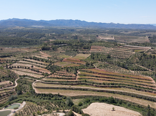 Vista aérea de los campos alrededor de El Masroig
