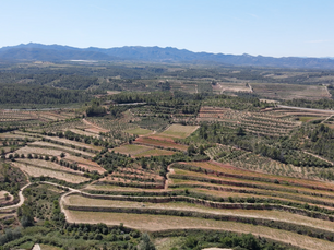 Descubre El Masroig a través de sus senderos en tu próxima escapada rural