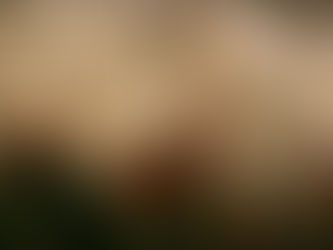 Correfoc de Francisco Goncalves