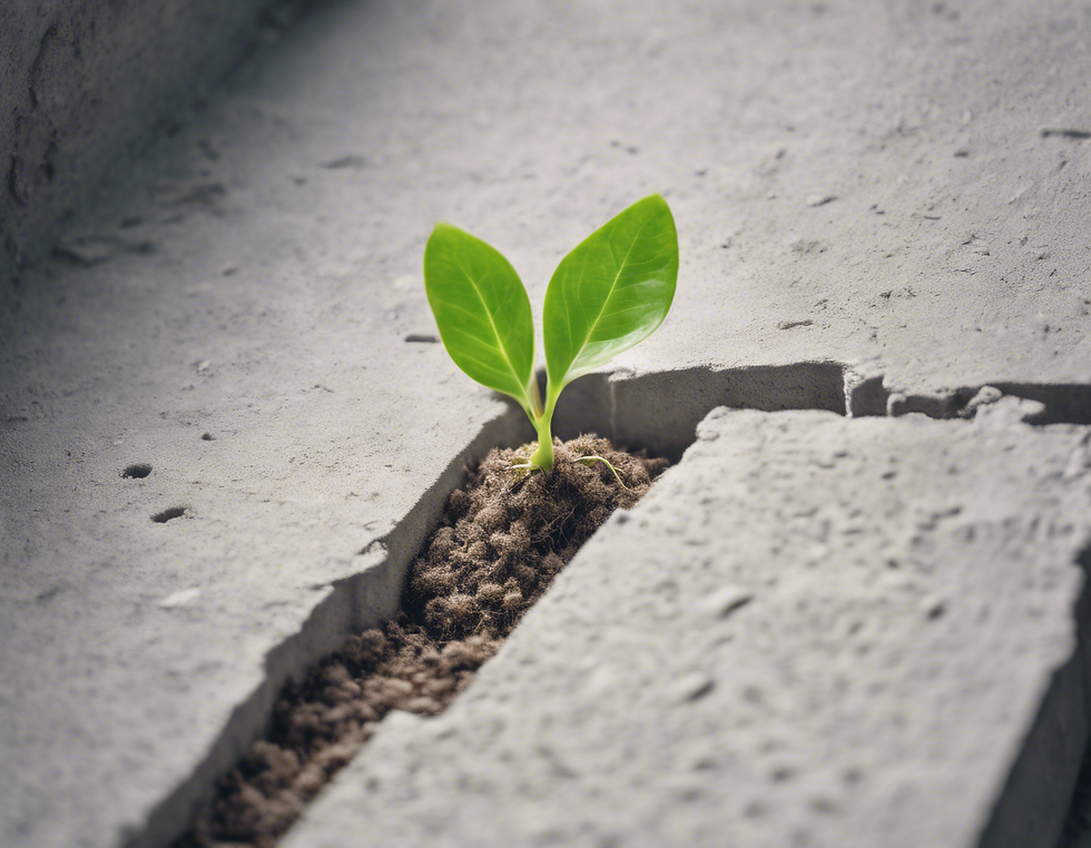 Embrace Growth: Personal Development Strategies for Young Minds