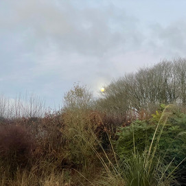 8AA0403C-F92A-4168-8601-1C739C0F41AA_1_105_c.jpeg