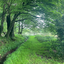 9E440182-4F5F-4476-AD96-D9FC2FF701C3_1_105_c.jpeg