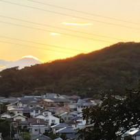 散在ガ池森林公園の様子と期待
