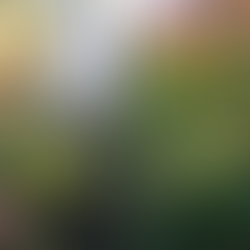 秋まっ盛りの散在ガ池森林公園