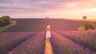 Découvrez la gastronomie provençale dont personne ne parle