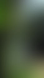 Adventures with Ahipara Travel, New Zealand