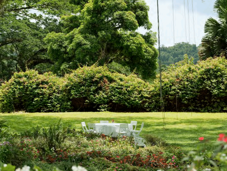 Insiders Guide To Jamaica