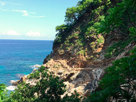 Private Guided Jungle Tours @ Imanta Resorts 