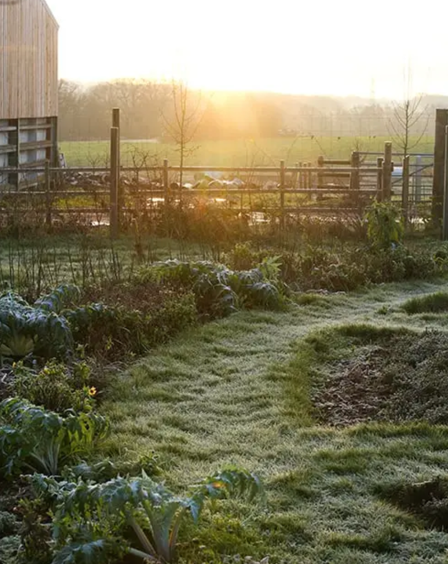 Secret Season in The UK with Sleigh's UK & 