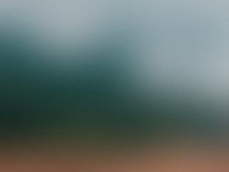 Helicopter Expeditions with Galavanta