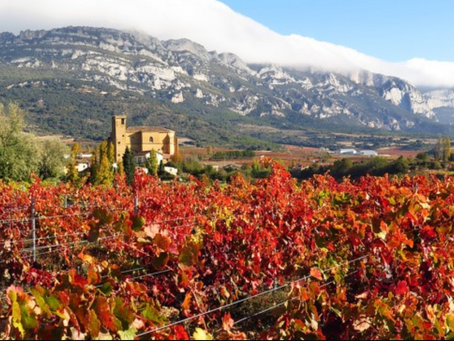 Fall Colors of Wine, La Rioja