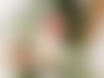 Meadowstone Manon, an Intimate Wedding Venue