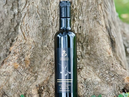 Olive Season at Castello di Vicarello