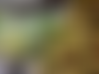 Festive at Pine Cay Turks and Caicos