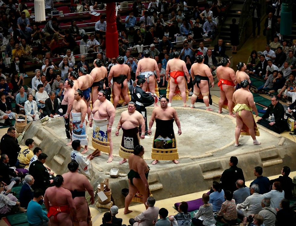 Sumo Performances with Tokyo Way