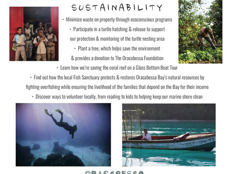 Community & Sustainability with Island Outpost