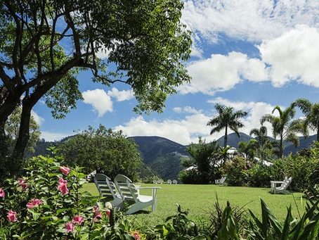 The Perfect Backdrop For Your Special Day