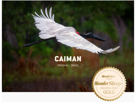 Caiman Recognized with the 2026 Wanderlust Award!
