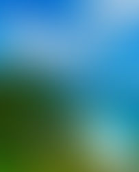 Corcovado National Park with Terranova Costa Rica