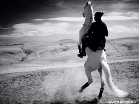 Horseback Riding Experiences with Morocco Travel Guide/We Plan