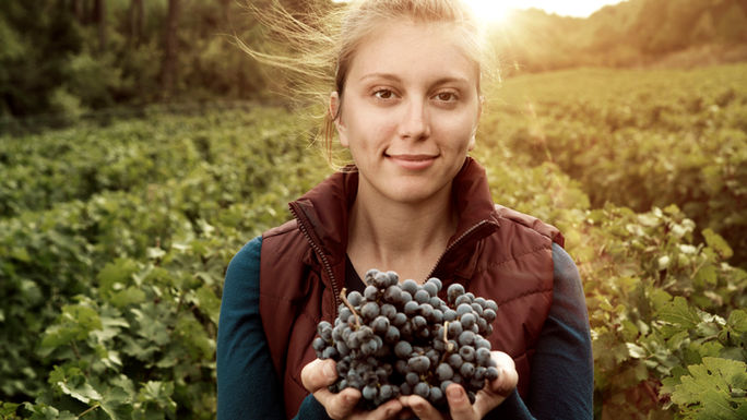 Gallipoli Hotel Caeli 2.jpg