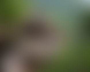 Villages from the Eastern Black Sea with ITEM Travel Turkey, DMC