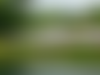 Sweet Bocas a Private ultra-luxury estate with Ecological Focus