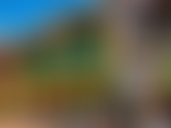 Galavanta Colombia on Sustainable Travel