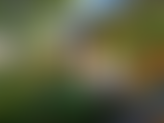 Superior Casitas at Sol y Luna